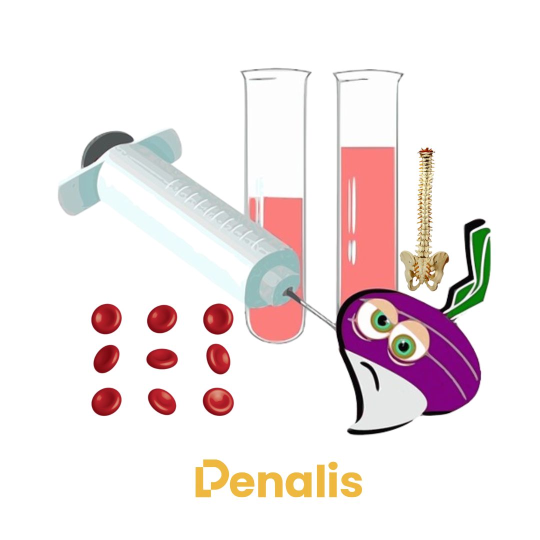 Anemia Aplastik